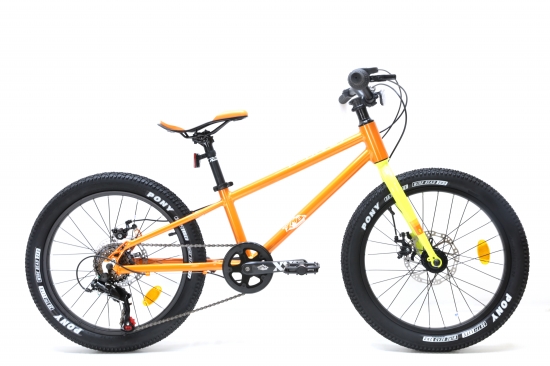 KIDS BIKE 20"